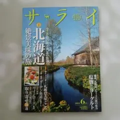 サライ 2013年6月号 雑誌