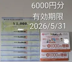 ビックカメラ 株主優待 6000円分