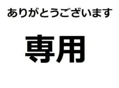 専用　23号