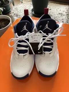 【新品・国内正規品】NIKE JORDAN MAX AURA 6