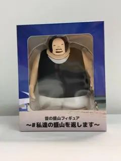 昔の盛山フィギュア #私達の盛山を返します - メルカリ