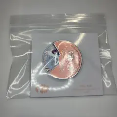 StrayKids Japan シーグリ　2023 ピンバッチ　s-318