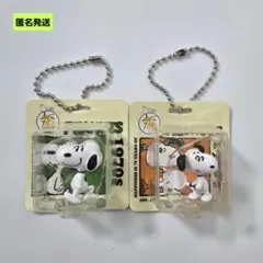 【匿名】スヌーピー パッケージミニチュアコレクション ガチャ