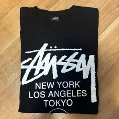 Stussy ロングスリーブ Tシャツ L 黒