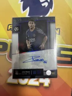 Item thumbnail for item 50fe3c16-0edd-4288-bf35-cff38c586bf0