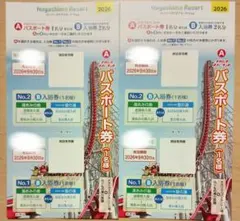 ナガシマスパーランド パスポート券 2枚セット