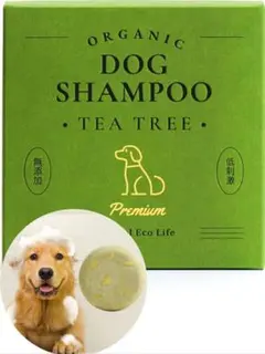 Item thumbnail for item 20bc28b7-55aa-4e8e-b0f4-fb7e81bff6b1