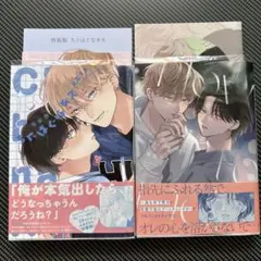 末広マチ「特装版 ちぐはぐなキス」「How to Melt」セット