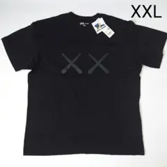 新品 XXL UNIQLO KAWS WARHOL ユニクロ カウズ ウォーホルのサムネイル