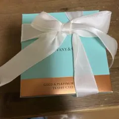 ティファニーGOLD&PLATINUM JEWELRY TRAVEL CAREのサムネイル