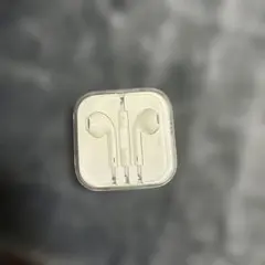 Apple EarPods with Remote and Mic
