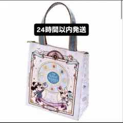 【新発売】スーベニアランチケース★テーマポートグッズ　25周年　ディズニーシー