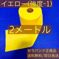 エクササイズバンド