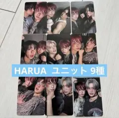 &TEAM HARUA ハルア　ユニット　トレカ