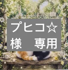 プヒコ☆様　専用