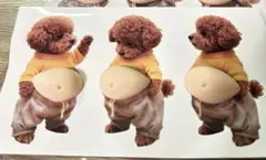 みーさん　様　専用