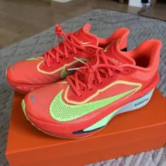 Nike Zoom FLY6 27.5cm 【新品未使用】　ズームフライ6