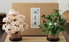卸京花 造花セット ピンクと緑(桜と柑橘)のサムネイル