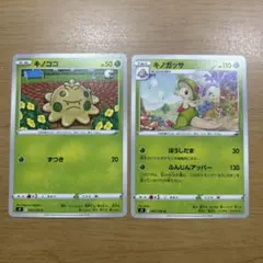 キノココ・キノガッサのサムネイル