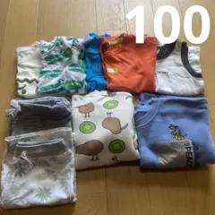 Item thumbnail for item 81c12b68-bb3c-4052-8cea-0eb390ed1ed6