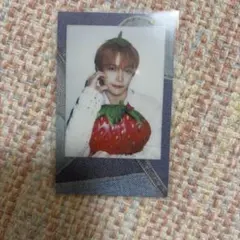 &TEAM ニコラス　シーグリ