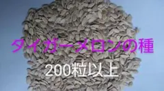 寅ちゃん様 リクエスト 2点 まとめ商品