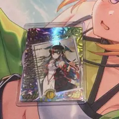 ぴ*ま様 ヴァイスシュヴァルツ グラブル 十天衆を総べし物 主人公(女
