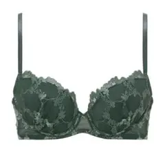 C65 トリンプ　ゴールドレーベル ブラジャー　プレミアム　定価9350円