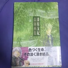 2026年最新】蟲師 二十景 漆原友紀画集 蟲襖 (むしあお）の人気
