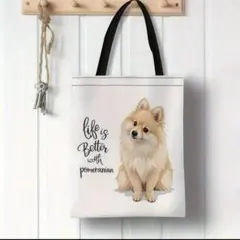 Item thumbnail for item 85faed45-b5fb-4383-80db-19798513abe6