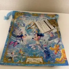タイムトゥーシャイン 20周年 ディズニーシー　タグ付き巾着