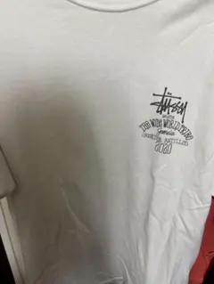 Stussy World Tribe 2020 Tシャツ