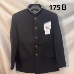 Item thumbnail for item d5e60fc7-ef04-4f16-b9ca-9a27a6a11256