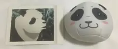 呪術廻戦 パンダ ぱしゃこれ おまんじゅうにぎにぎマスコット