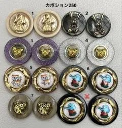 ボタンカボション250⑤ 6/1