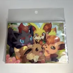 【貴重】ポケモン モフモフパラダイス ステッカー シール もふもふ イーブイ 他