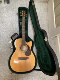 2025年最新】Martin アコースティックギターの人気アイテム - メルカリ