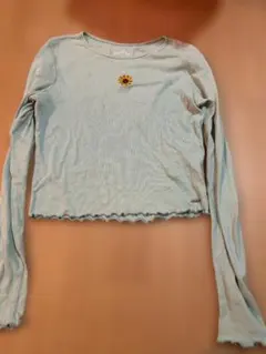 hollister Tシャツ