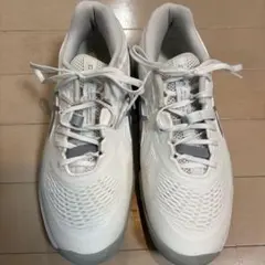 アシックス メンズ テニスシューズ25センチワイド3E ゲルレゾリューションⅩ