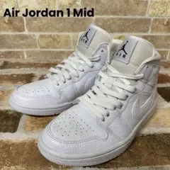 Air Jordan 1 Mid "Snake Skin"22.5㎝【未使用級】