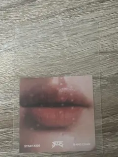 Stray Kids スキズ ATE アコーディオン リップカード　バンチャン