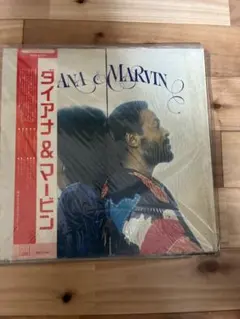 DIANA & MARVIN アナログLPレコード