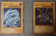 k*n様 遊戯王　青眼の白龍　真紅眼の黒竜　レリーフ