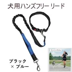 Item thumbnail for item 08cbe396-d466-4cad-a98e-9c48177871c7