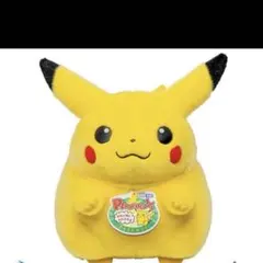 ポケモン30周年記念 おかえり!ピカチュウ1/1
