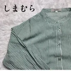 hareiro ハレイロ しまむら ストライプシャツ グリーン M