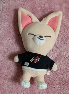 StrayKids SKZOO フォクシニー　ぬいぐるみ　オリジナル　ミニ Amazon.com: SKZOO 3.9in Plush | The Cape Skzoo | Where Stay | You
