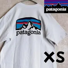 パタゴニア　グラフィック　半袖　Tシャツ　白　XS　美品