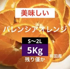 72)美味しい　有田産　バレンシアオレンジ　みかん　果物　家庭用のサムネイル