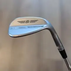 Titleist VOKEY SM10 ニッケル 56度 / 14 / F